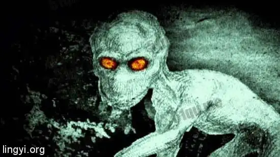 全球十大神秘生物