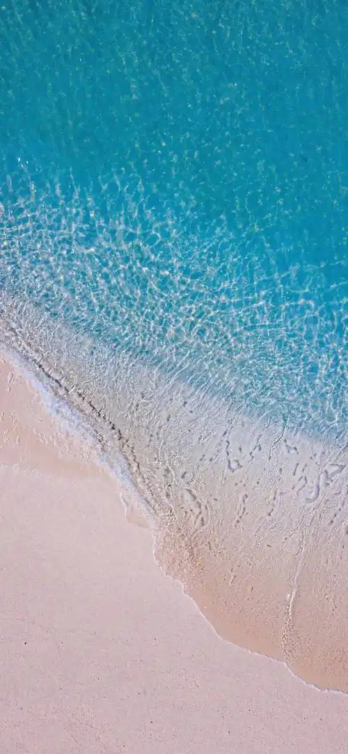 抖音壁纸 | 回家几天会被爸妈嫌弃?