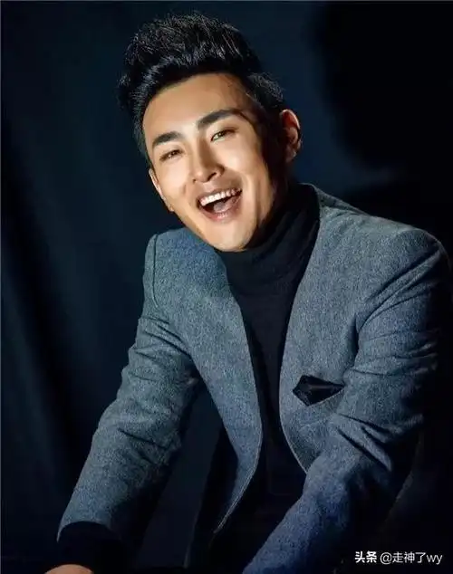 内地影视剧男演员王彦霖