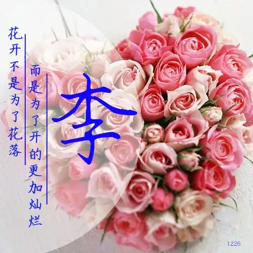 编号1226文艺小清新花