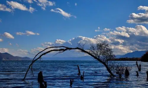 冬日洱海,美图秀秀,旅行随拍