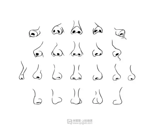 作业:怎么学插画设计之鼻子的画法与训练技巧 - rh-11-230桃子