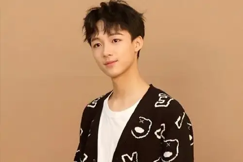 中国十大最帅的男童星 中国男童星有哪些 童星帅哥盘点