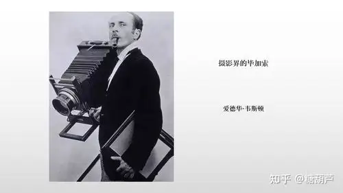 "这些照片都是摄影师爱德华·韦斯顿的作品.