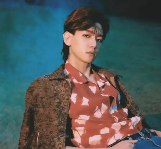 边伯贤新专狼尾造型,梦回kokobop时期,sm依旧不放弃皮裤_bolo