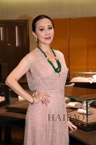 刘嘉玲 (carina lau) 佩戴宝格丽 (bulgari) 珠宝