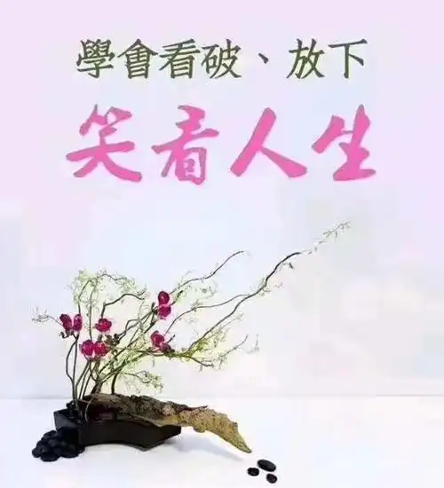 春夏秋,繁华过处,绿意黯然,风景淡然,冬天寒风瑟瑟,落叶飘飘,寂寥