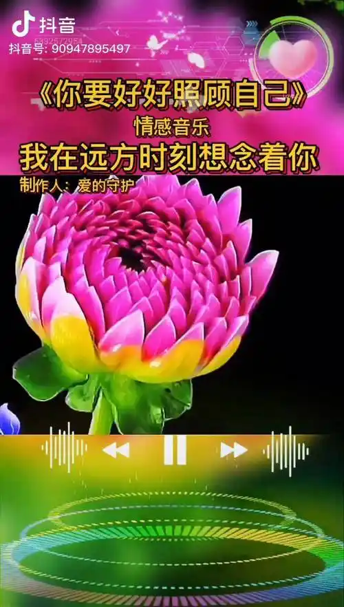 要好好的照顾自己我在远方时刻牵挂着你情感爱情治愈情感音乐