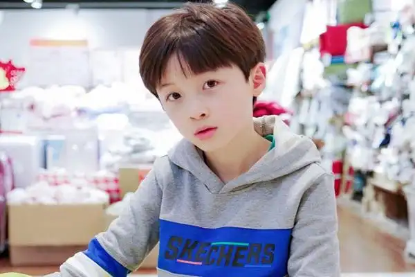 中国有哪些小童星?