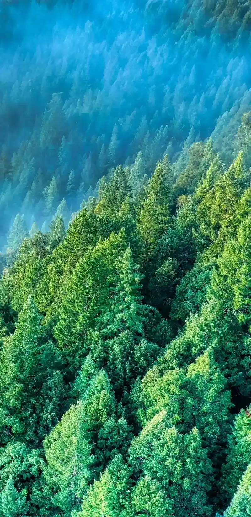 养眼风景壁纸屏保#星空壁纸小程序 输入口令"momo"免费下 - 抖音