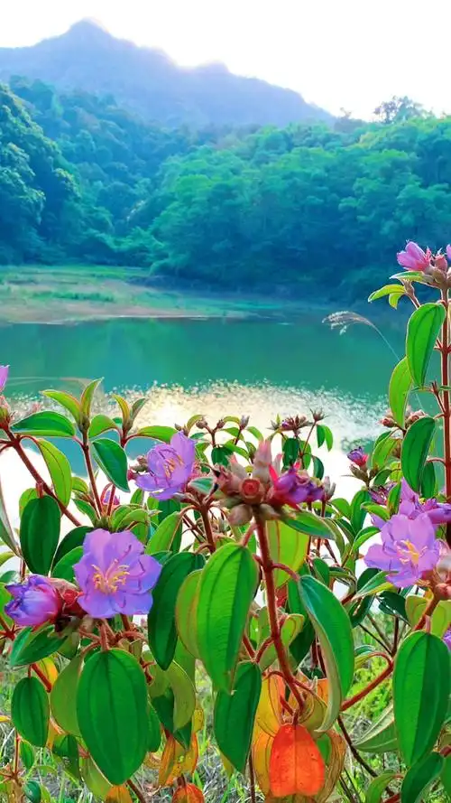 愈治风景#远离城市喧嚣,亲近大自然