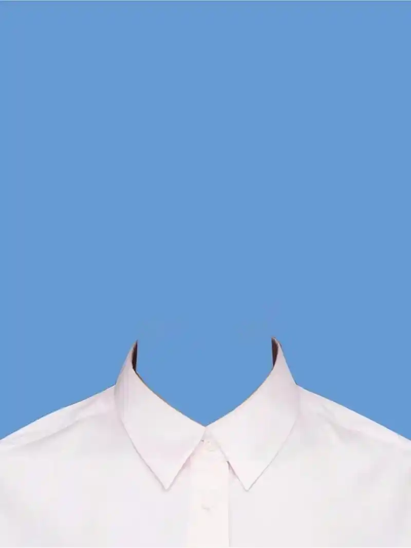 证件照白衬衫模板大合集,证件照模板.#修图前vs修图后 #p - 抖音