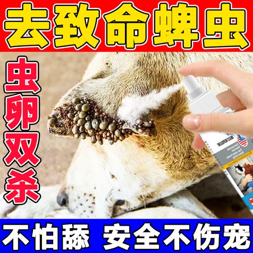 纤莉贝蒂斯狗狗驱虫药蜱虫杀虫剂猫咪体外杀虫喷雾去除宠物身上跳蚤