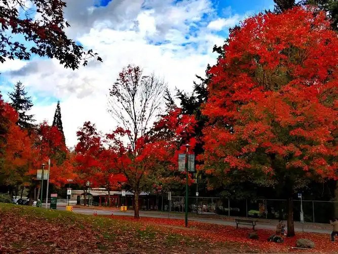 枫叶王国——加拿大(温哥华)