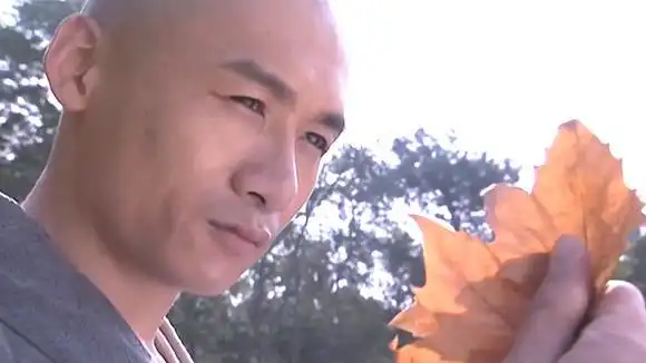 高虎版虚竹精彩打斗:深藏百年内力,出手秒鸠摩智,金庸迷必看-综