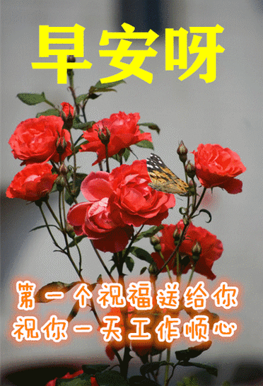 2021年11月6日上午好动态表情图片大全上午好动图美图大全