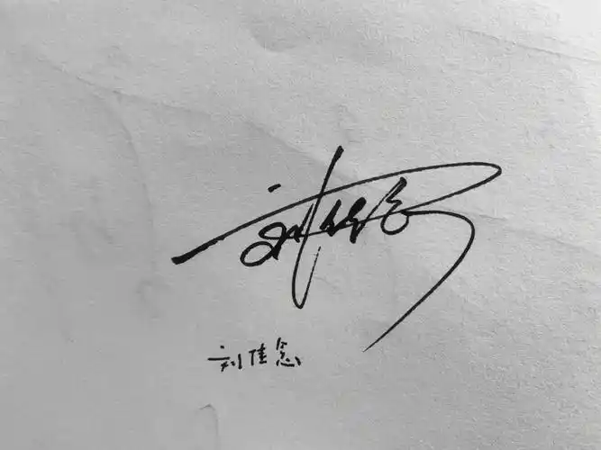 写了你也看不到!#艺术签名设计  #签名设计  #个性签名