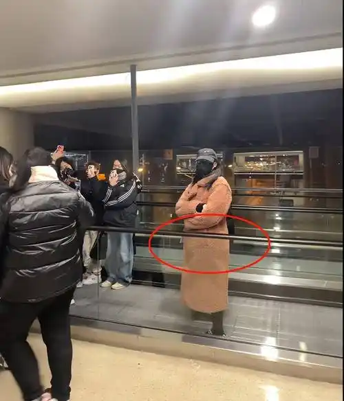 为什么说,迪丽热巴怀孕是假的?_摄影_言论_恶意