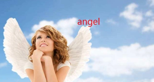 angel 英 [e01nd01l] 美 [e01nd01l]