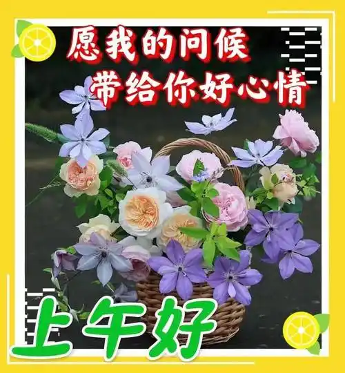 9张最新创意唯美的早上好祝福图片带字温馨 2023唯美夏天早安问候祝福