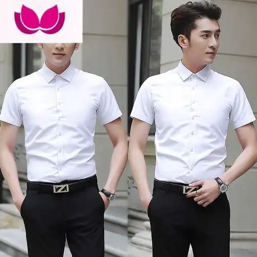 七斓白衬衫男商务正装衬衣男士短袖夏季上班工作修身免烫职业休闲寸衫