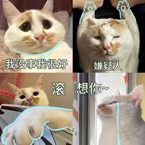 微信表情包可爱小丸子4表情包分享01