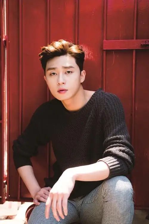 韩国男演员比帅