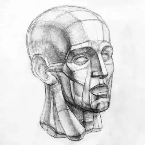 石膏人头像结构素描