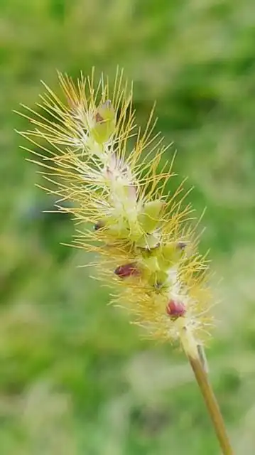 查看大图 夕瑶mm:                           我正在用#poco相机#拍