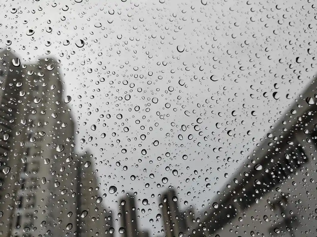 朦胧的早晨细雨轻轻飘落