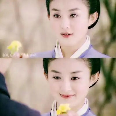 陆贞传奇.陆贞.赵丽颖 by古风美人颜