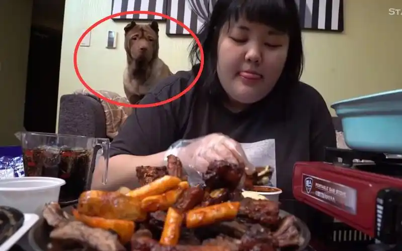 韩国胖妹吃烤排骨,家里大狗子一直盯着看,"是真能吃啊……"