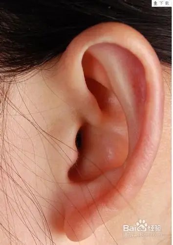 传统中医认为:耳为宗脉之所聚,护耳不仅仅保护听力,也是呵护健康