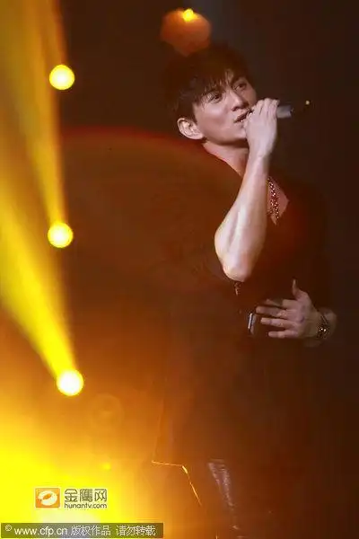 整场演唱会星光熠熠,王菲,李宇春,吴奇隆(微博),蔡依林(微博)等众多