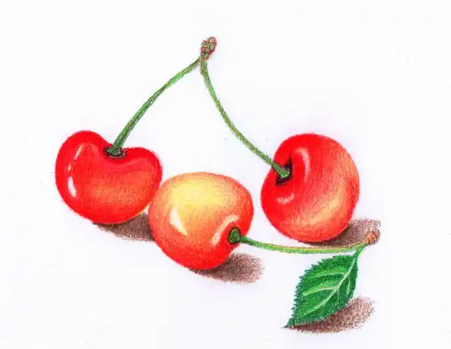 彩铅画——一些水果