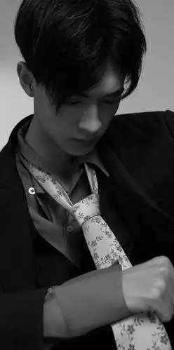 手机壁纸秦霄贤