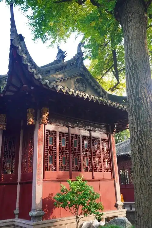 黄浦赏秋地图丨豫园古风滤镜下的水光山色