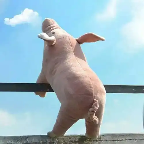 逗比头像-搞笑频道-手机搜狐