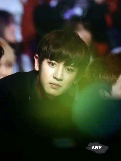 exo 朴灿烈 mama颁奖典礼