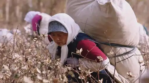 花开时节热播背后主旋律更要有真情实感