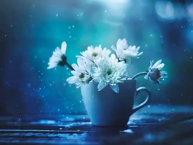 写作使我的心归于平静