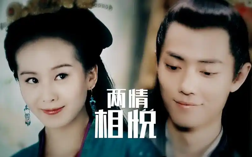 【肖战×刘诗诗】两情相悦 追上一个口是心非的男人