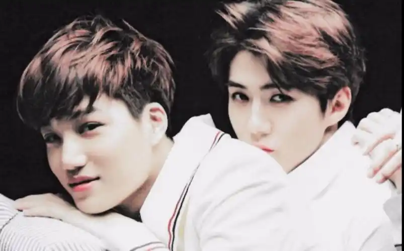 【开勋】两者【红白玫瑰向】