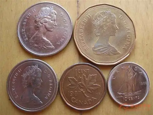 谁认识这是什么东东