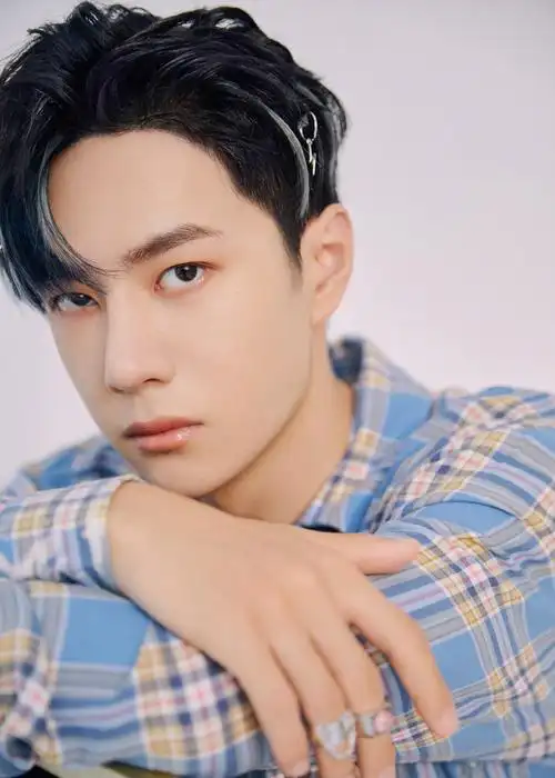 王一博格子外套帅气写真图片