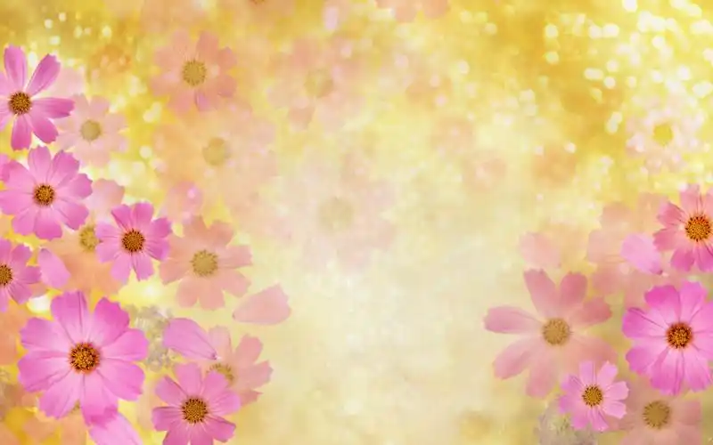 梦幻花朵背景图片