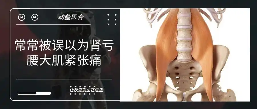 常常被误以为肾亏腰大肌紧张痛