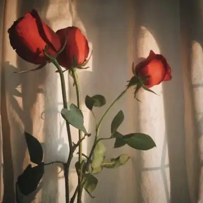 怎么会有女孩子拒绝好看的花花呢_唯美图片_我要个性网