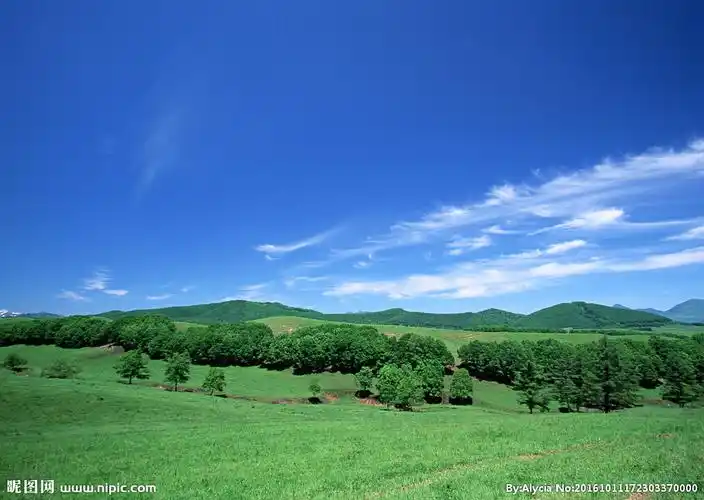 绿草蓝天背景图片