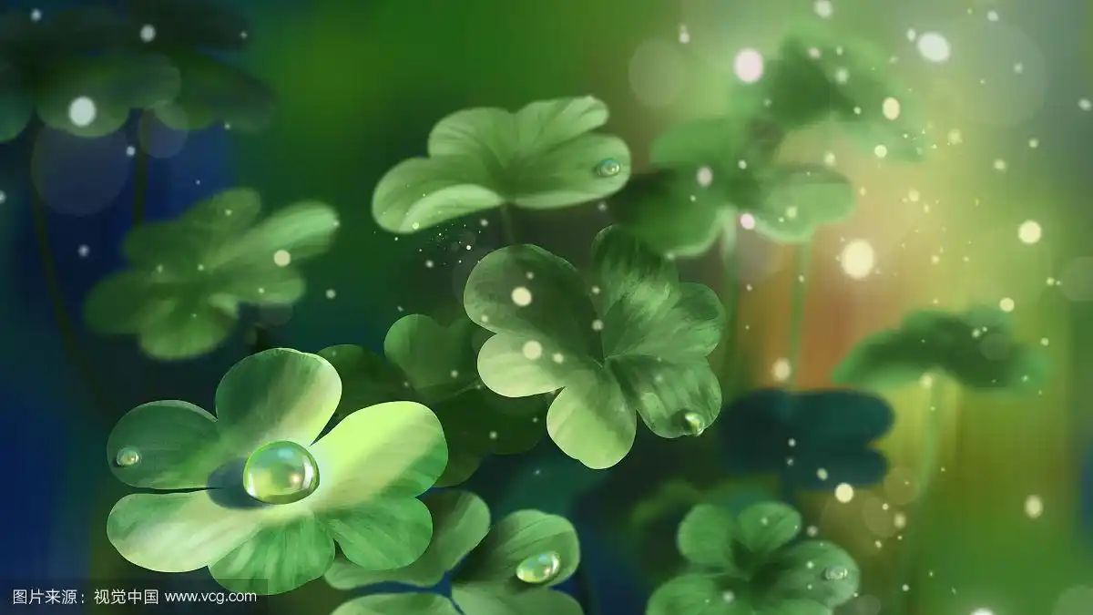 四叶草寓意唯美句子(四叶草寓意和象征意义)
